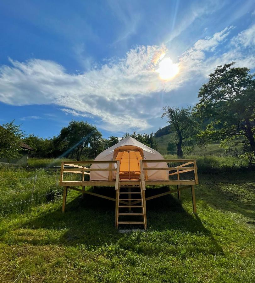 Flore'S Garden Glamping บราน ภายนอก รูปภาพ