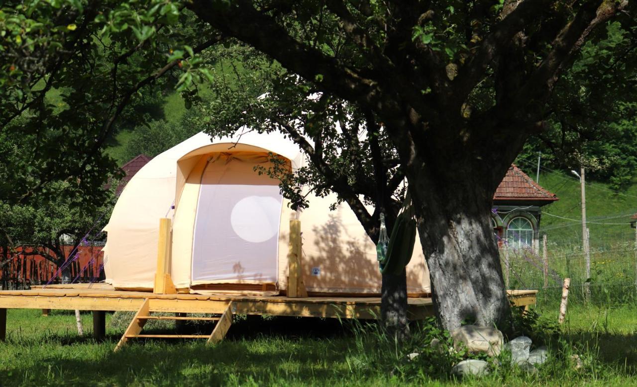 Flore'S Garden Glamping บราน ภายนอก รูปภาพ