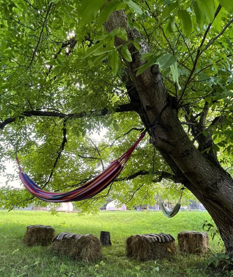 Flore'S Garden Glamping บราน ภายนอก รูปภาพ