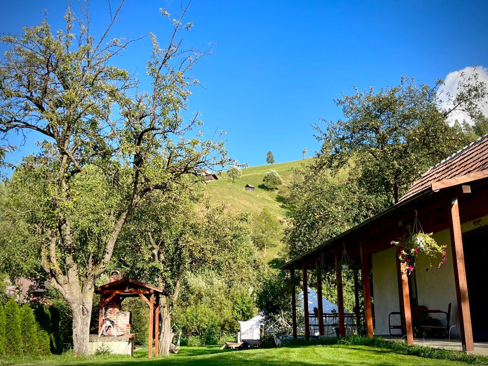 Flore'S Garden Glamping บราน ภายนอก รูปภาพ