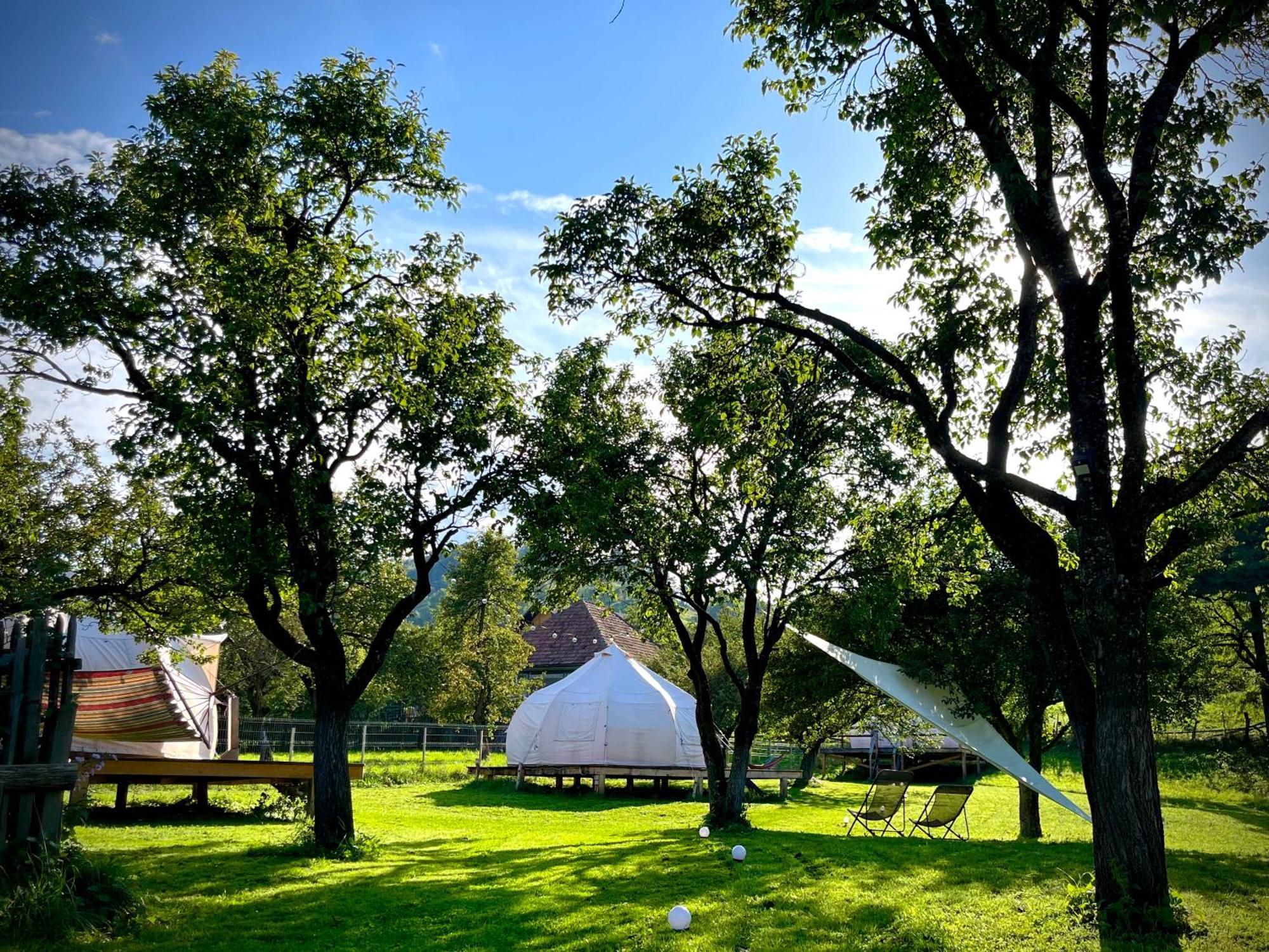 Flore'S Garden Glamping บราน ภายนอก รูปภาพ