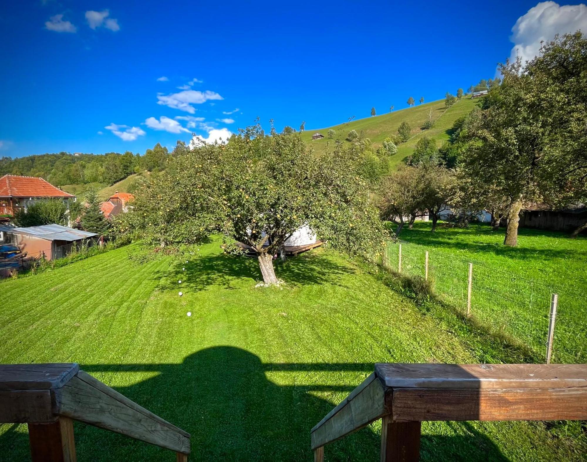 Flore'S Garden Glamping บราน ภายนอก รูปภาพ